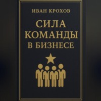 Иван Крохов. Сила команды в бизнесе
