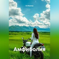 . Амфиболия