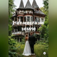 Александр Петляков. Нет места на земле