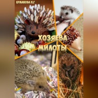 . Хозяева Милоты