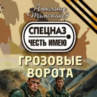 Александр Тамоников. Грозовые ворота