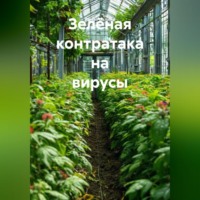 Ринат Валиев. Зелёная контратака на вирусы