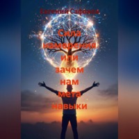 Евгений Сафонов. Сила намерения или зачем нам мета навыки