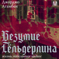 . Безумие Гёльдерлина. Жизнь, поделенная надвое