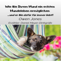 . Wie Sie Ihrem Hund Ein Echtes Hundeleben Ermöglichen