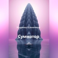 Владимир Кожевников. Сумматор