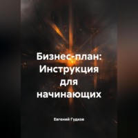 Евгений Гудков. Бизнес-план: Инструкция для начинающих