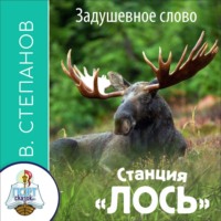 . Станция ЛОСЬ