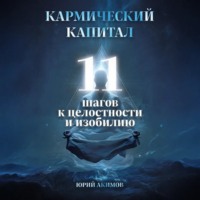 . Кармический капитал: 11 шагов к целостности и изобилию