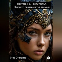 Стас Степанов. Пантера 1-6. Часть третья. В плену у пространства-времени