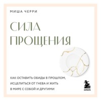 . Сила прощения. Как оставить обиды в прошлом, исцелиться от гнева и жить в мире с собой и другими