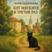 . Кот мяукнул в третий раз