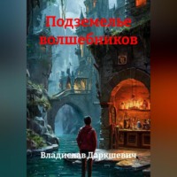 Владислав Даркшевич. Подземелье волшебников