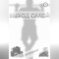 Сергей Овчинников. Выход силой