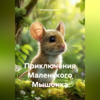Наталия Королева. Приключения Маленького Мышонка