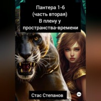 Стас Степанов. Пантера 1-6. Часть вторая. В плену у пространства-времени