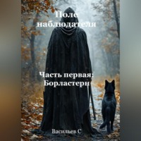 Степан Леонидович Васильев. Поле наблюдателя. Часть первая: Борластерн.