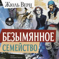 Жюль Верн. Безымянное семейство