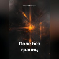 Евгений Леонидович Потёмкин. ПОЛЕ БЕЗ ГРАНИЦ