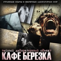 Ольга Рубан. Кафе Берёзка