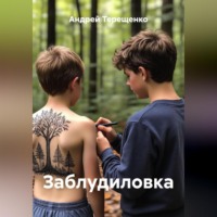 Андрей Терещенко. Заблудиловка