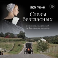 . Слезы безгласных. Она вырвалась из мира амишей, где боль называли смирением