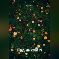 Юрий Леон. Под ником N