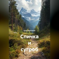 Елена Максимова. Спичка и сугроб