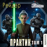 Рейдер. Практик (том 1)