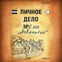 . Новенький