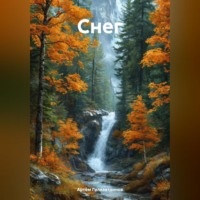 . Снег