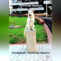 Александр Черевков. Нападение – не метод защиты