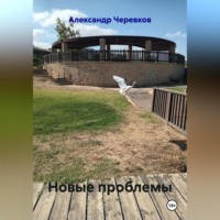 Александр Черевков. Новые проблемы