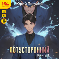 Юрий Погуляй. Потусторонний. Книга 3
