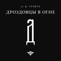 . Дроздовцы в огне