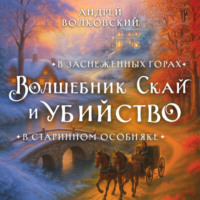 Андрей Волковский. Волшебник Скай и убийство. Комплект из 2 книг