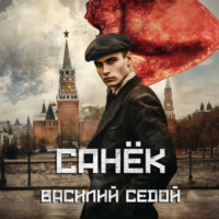 Василий Седой. Санёк