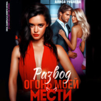 . Развод. Огонь моей мести