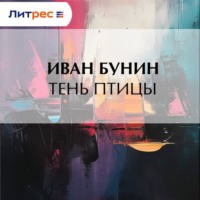 . Тень птицы