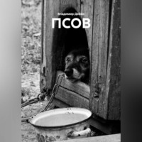 . ПСОВ