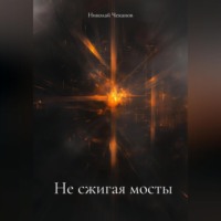 Николай Михайлович Чеканов. Не сжигая мосты