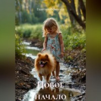Георгий Фомичев. Новое начало