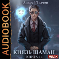 . Князь шаман. Книга 11