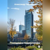 . Поездка в Нидерланды