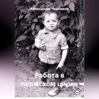 . Работа в пермском цирке