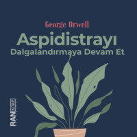 Джордж Оруэлл. Aspidistrayı Dalgalandırmaya Devam Et