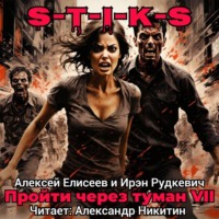 Ирэн Рудкевич. S-T-I-K-S. Пройти через туман VII. Континент