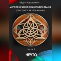 Шура Ворошилов. Мироощущение и жизнечувствование (практическая метафизика) Часть II НЕЧТО