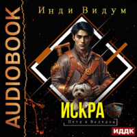 Инди Видум. Петя и Валерон. Книга 2. Искра