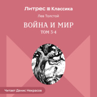 Лев Толстой. Война и Мир. Том 3-4